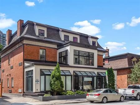 486 Albert Street | 486 Albert Street, Ottawa