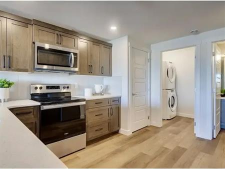 Brand new Executive Walkout Basement | Carringvue Park NW, Calgary