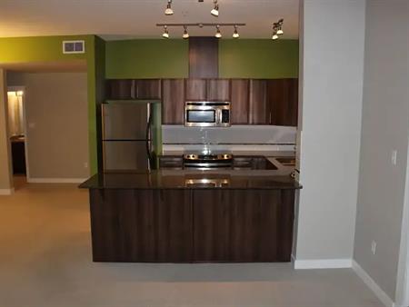 Beautiful Two Bedroom + Den Downtown Condo with TWO UG Heated Parking stalls | Edmonton