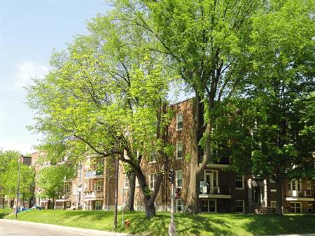 4 1/2 avenue Belvédère coin Grande Allée Ouest - Montcalm