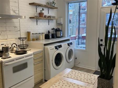 Charmant 3 1/2 Semi Meublé Sur Le Plateau Mont Royal . Rénové En 2023