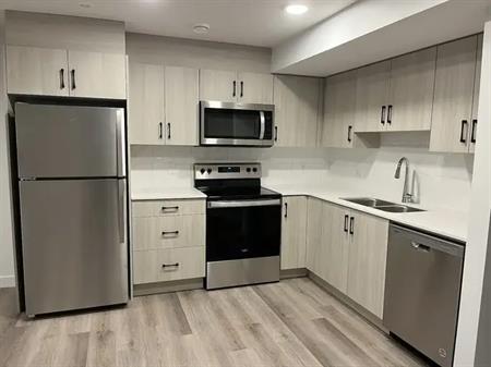 Legal Basement 1 Bed, 1 Bath including Utilities ($1350/Month) | 3252 Kulay Way Southwest, Edmonton
