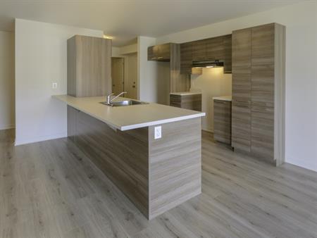 Logement 4 1/2 - 1er Aout - Saint-Jérôme