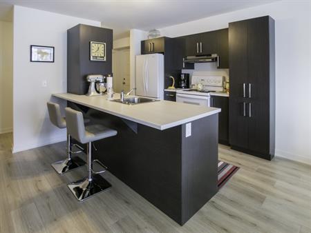 Logement 5 1/2 - 1er Aout - Saint-Jérôme