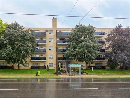 50 Adelaide Ave E and 290 & 300 Mary St N | 50 Adelaide Ave E and 290 & 300 Mary St N, Oshawa