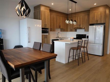 Spacieux logements 3 chambres 2022 St-Hyacinthe JUIN-JUIL - appartement à louer - Saint-Hyacinthe