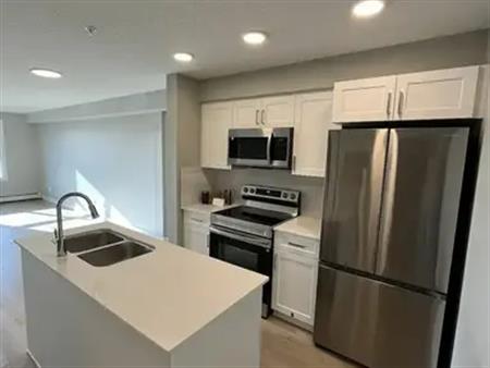 1/2 Price Rent! Brand New! 1 Bed 1 Bath Condo!Underground Parking!Pet Friendly! | 1506 Tamarack Boulevard Northwest, Edmonton