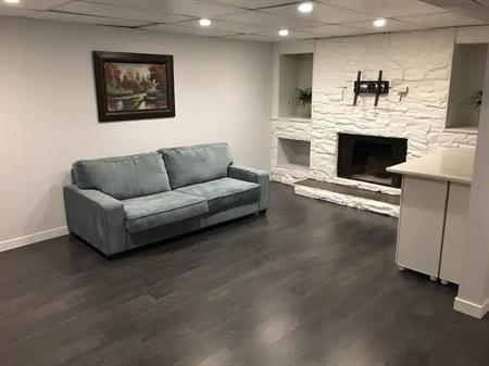 Bright, Large, Legalized 2 Bedroom Basement Suite - 5 mins from train | Calgary