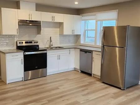 Fully Renovated and Bright 2 Bedroom 1 Bathroom Lower Suite*Private Laundry* | 10506 80 Avenue Northwest, Edmonton