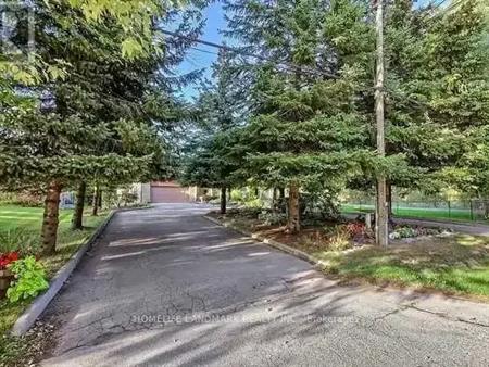 10 MAPLE GROVE AVENUE | 10 MAPLE GROVE AVENUE, Richmond Hill