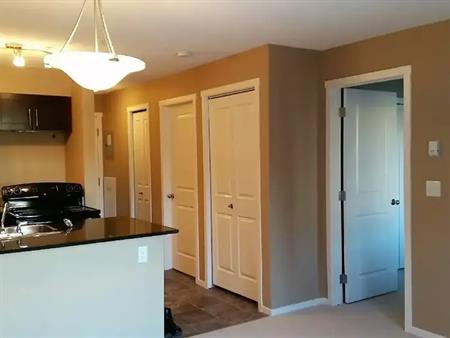 Beautiful 1 Bedroom + Den / 1 Bath SW Apartment | 111 Watt Common SW, Edmonton