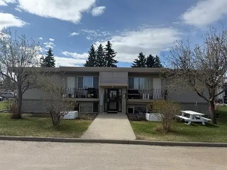 Clean 2 bed 1 bath in West Edmonton mature Neighbourhood | 15431 93 Ave Nw, Edmonton