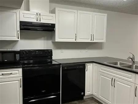 Cozy modern 1 bed 1 bath lower suite in townhouse*Private Entrance & Laundry! | 19 Ebbers Close, Edmonton