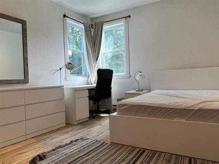 Studio - Montréal - $900 /mo