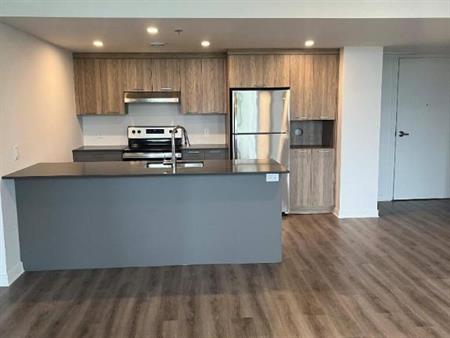 1 CH - 1 SDB - Terrebonne - $1,715 /mo
