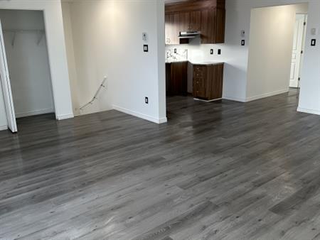 Condo 3 Chambres Entierrement Renové