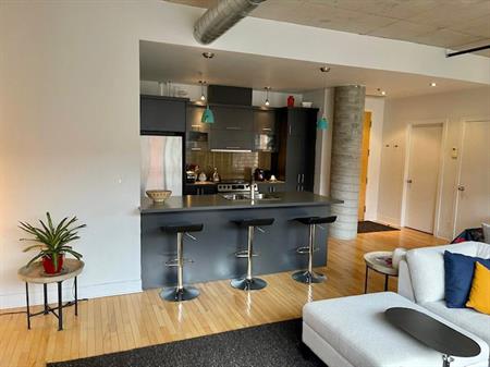 Condo Style Loft Avec Parking