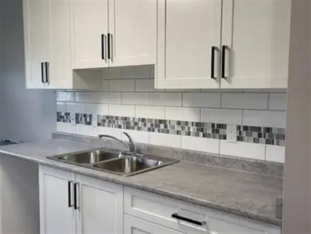 Laponia Plaza | 6707 92 Avenue, Edmonton