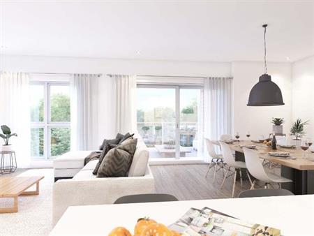 appartement 4 1/2 à louer