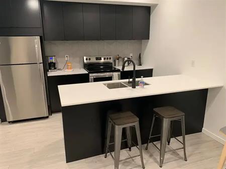 Furnished 1 bedroom close to Whyte | 6919B 106 Street, Edmonton