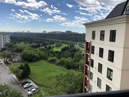 THE PROPERTIES ON HIGHSTREET,SUB PENTHOUSE,VERY LARGE 2330 SF, 2 BED,DEN | 10108 125 St NW, Edmonton