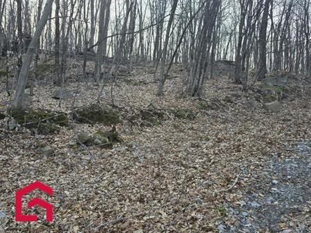 Terrain