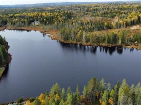 Très grand terrain au bord de l'eau (62 000 pieds carrés) - Électricité - WIFI - Internet - En forêt près de la ville. Le der