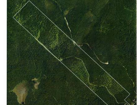 Terre a bois 103 acres St-Adalbert