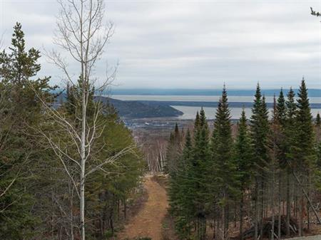 Terrain