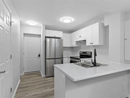 2-15 Trillium - Private basement unit, 1 bedroom, Central Kingston | 15 Trillium Court, Kingston