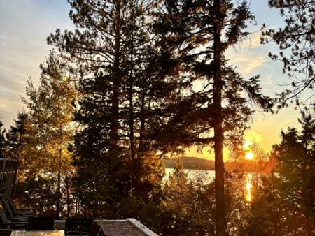 Chalet En Nature Bord De Lac Navigable