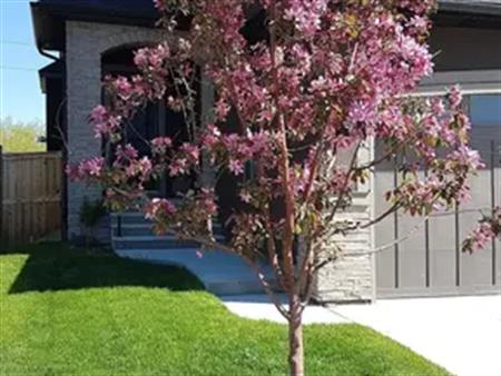 Stylish 3-Bedroom Home for Rent in Aspen Woods - 2150 sqft | Calgary