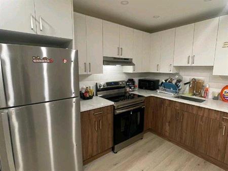 very nice and big 3.5 apartment for rent-APPLIANCES INCLUDED
