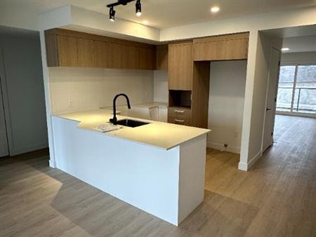 41/2 *1MOIS GRATUIT ET CHIEN ACCEPTÉ* NOUVELLE CONSTRUCTION DISPO MAINTENANT