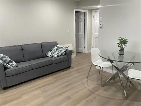 Cozy Furnished Legal Basement Suite for Rent in Walden Calgary (From October) | Calgary