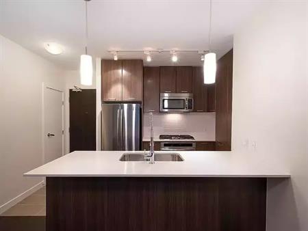 The Residence Great Condo! Suter Brook! | 301 Capilano Road, Port Moody