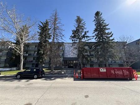Sunny 1 BDRM w/ Balcony - Close to DT, Chinook & LRT | Calgary