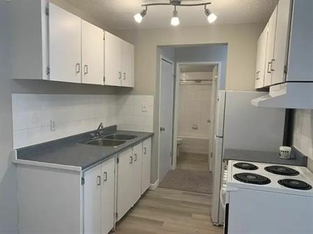 Updated 1 bed 1 bath apartment*outdoor parking*balcony | 10330 113 Street, Edmonton