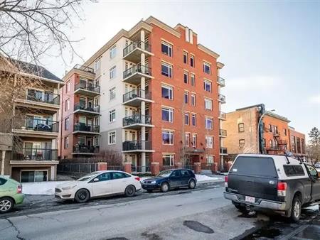 1 Bedroom Apartment in Mission | Calgary