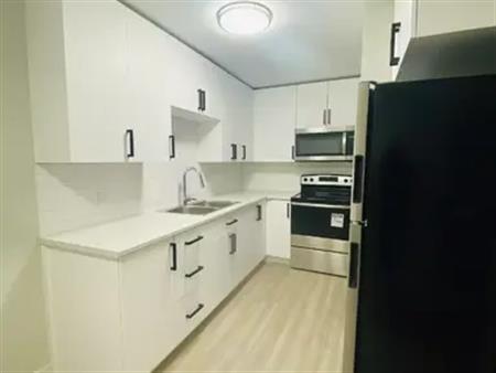 RENOVATED 2 Bedroom Apartment-All Inclusive with Internet | 249 Seventh Street West, Cornwall