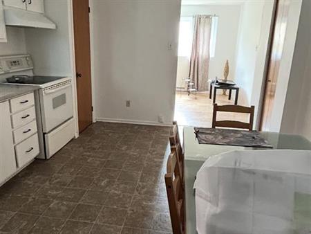 APPARTEMENT SEMI-SOUS SOL À LOUER