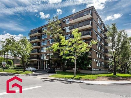 Appartement Mont-Royal À Louer