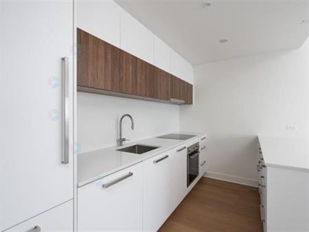 Magnifique Condo Avec Parking Inclus
