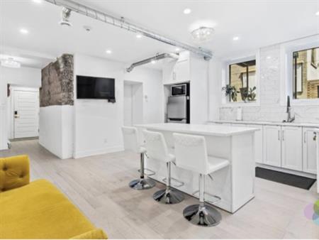 McGill Area - Superb 4 1/2 Furnished