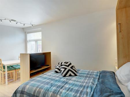 Loft 1 1/2, Rue Saint Jean, Dispo 1 Juin
