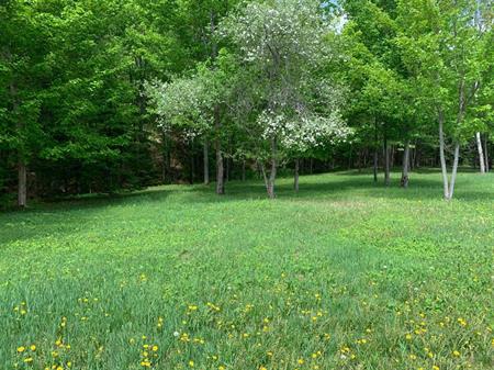 Terrain Vacant Huberdeau À Vendre