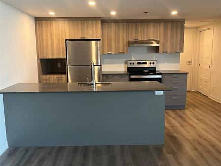 1 CH - 1 SDB - Terrebonne - $1,725 /mo