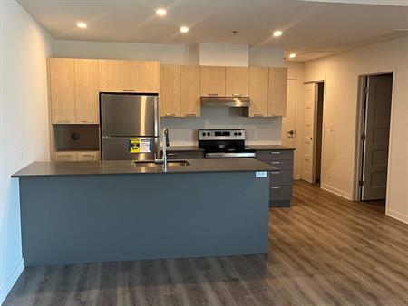 1 CH - 1 SDB - Terrebonne - $1,725 /mo