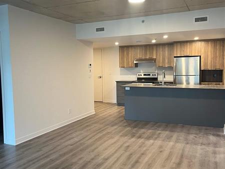 1 CH - 1 SDB - Terrebonne - $1,725 /mo