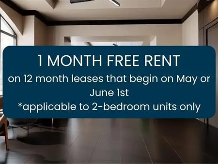 435 Albert St. - Domaine 435 | 435 Albert St., Ottawa